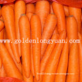 2014 New Crop Fresh Carrot